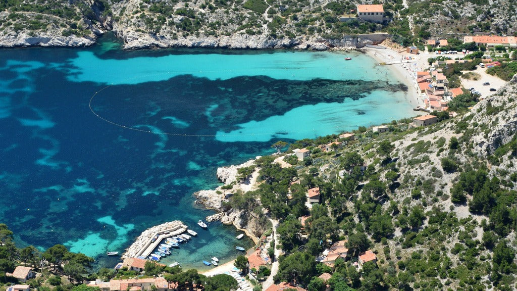 Lutte contre le harcèlement des femmes à la plage : L'Initiative "Safer Plage" à Marseille